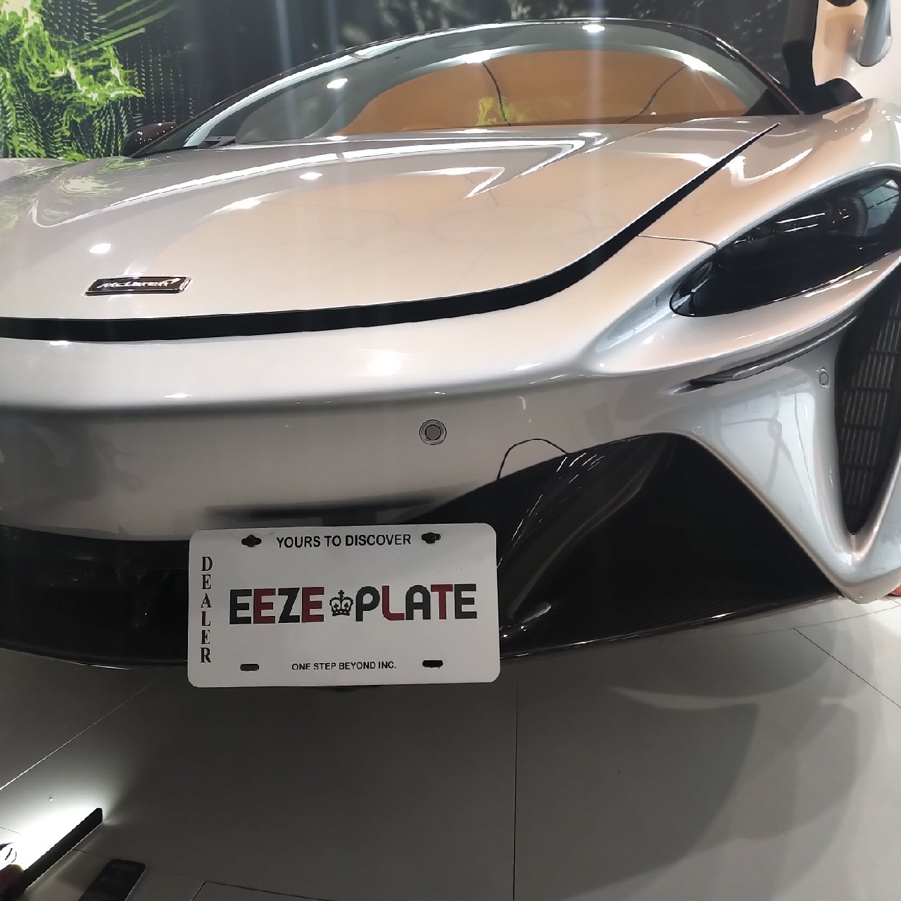 EezePlate - Quick Release, No Drill Front License Plate System